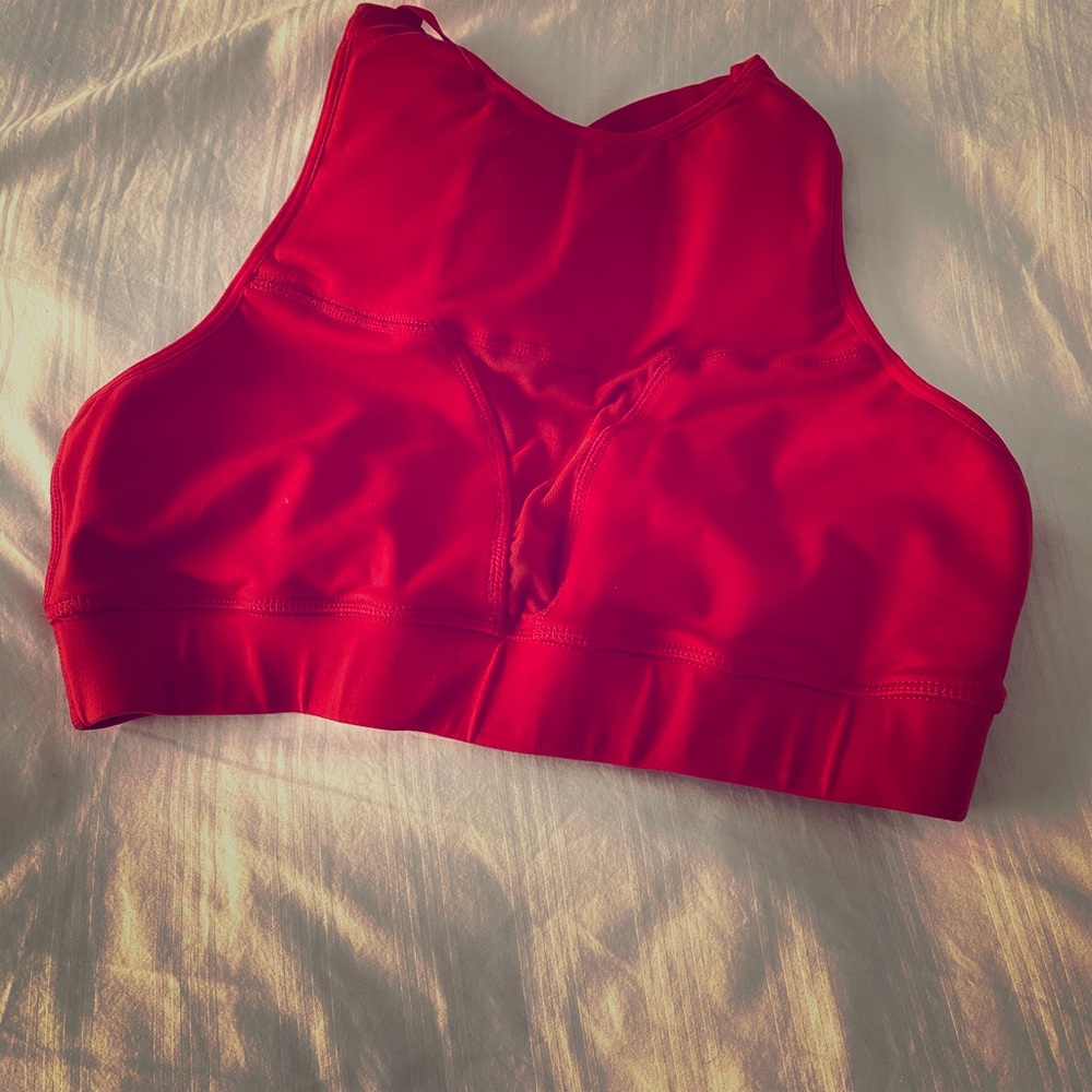 Chestee Bra with Barbell pads